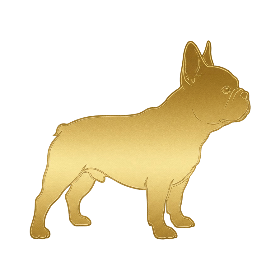 French Bulldog puppies for sale in New York