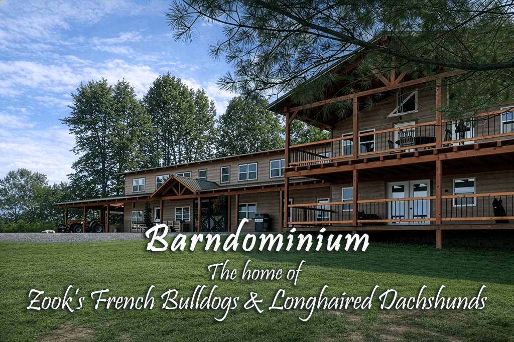 French Bulldog and Longhaired Dachshund breeder in Fort Plain, NY, providing puppies to families in Montgomery County, Albany, and Upstate New York. French Bulldog and Longhaired Dachshund breeder in Fort Plain, NY, providing puppies to families in Montgomery County, Albany, and Upstate New York.